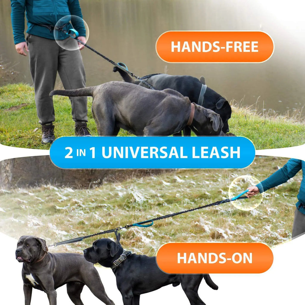Explosion-Proof Short Elastic Buffer Pet Leash One-Hand Drag Two-Walking Rope Running Dog Accessories for Small Large Dogs