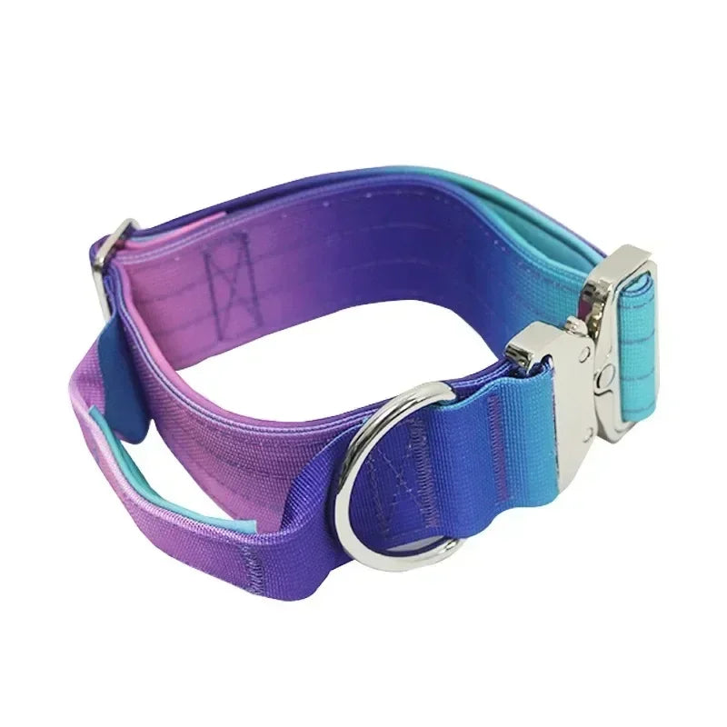 New 5mm Wide Pet Collar Gradual Change Color Traction Set Adjustable Nylon Dog Collar Supplies Medium and Large Dog Accessories
