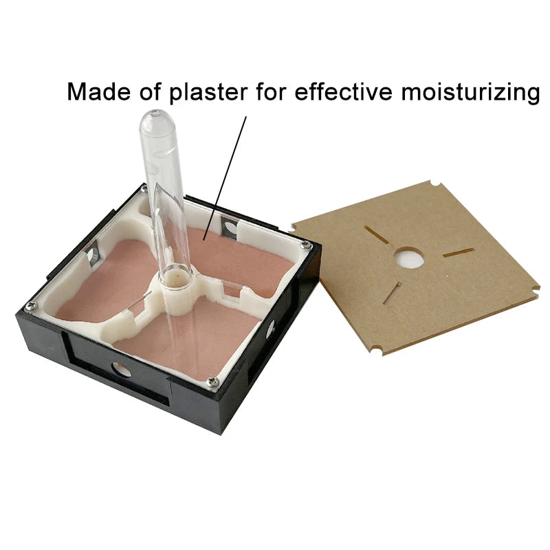 Unlimited Expansion Ant Farm Acrylic Ant Nest with Feeding Area Gypsum Pet Anthill Workshop Ant House Moisturizing Water Tower