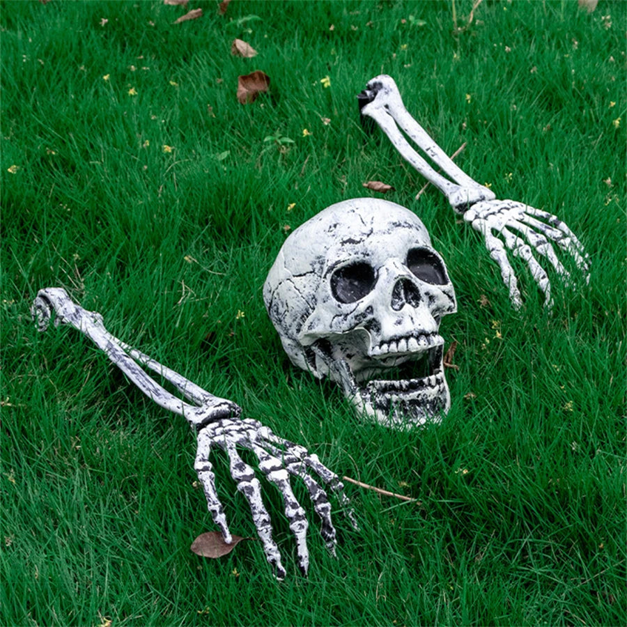 Halloween Realistic Skull Skeleton Head Human Hand Arms for