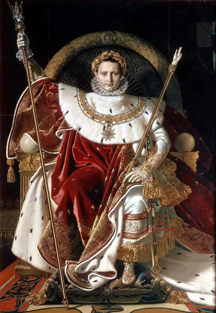 Vintage Classic Napoleon Bonaparte Coronation Wall Art, Canvas Print Poster, Suitable for, Home, Living Room, Office Decoration