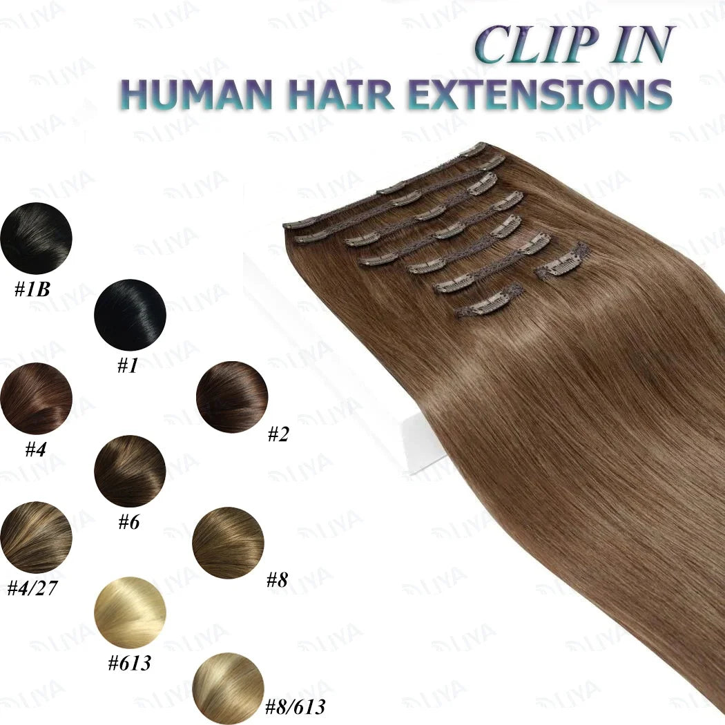 Clip In Hair Extensions #6 Chestnut Brown Double Weft