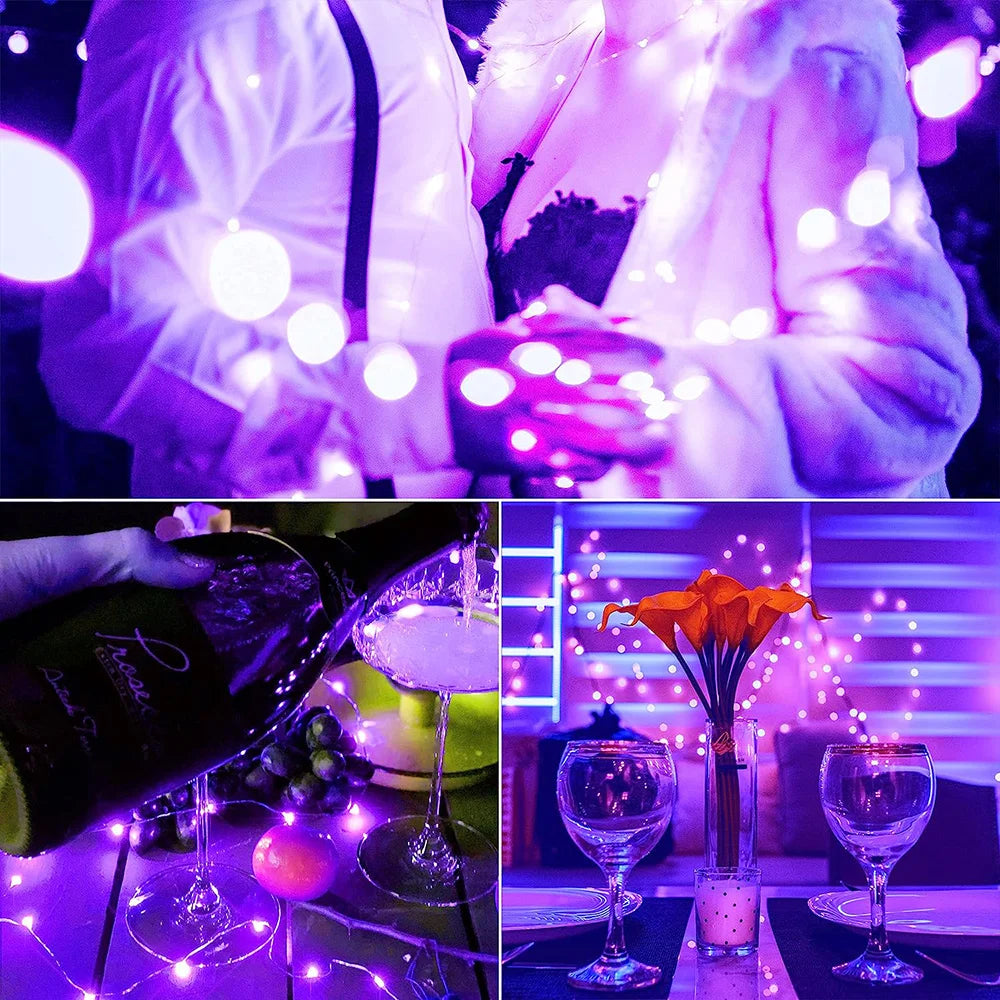 30/50/100LED Copper Wire String Lights Battery Powered Halloween Purple