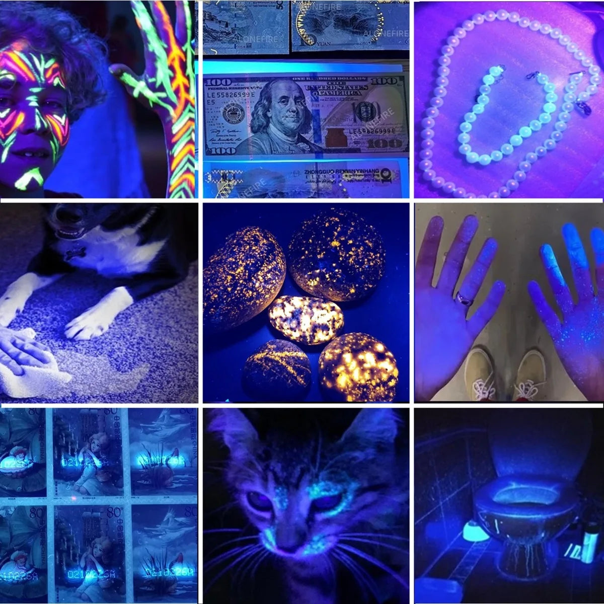 20W 395/365nm UV Flashlight USB Rechargeable Blacklight Curing Cat Tinea Pet Urine Stain Marker Leakage Ore Money Scorpion Light