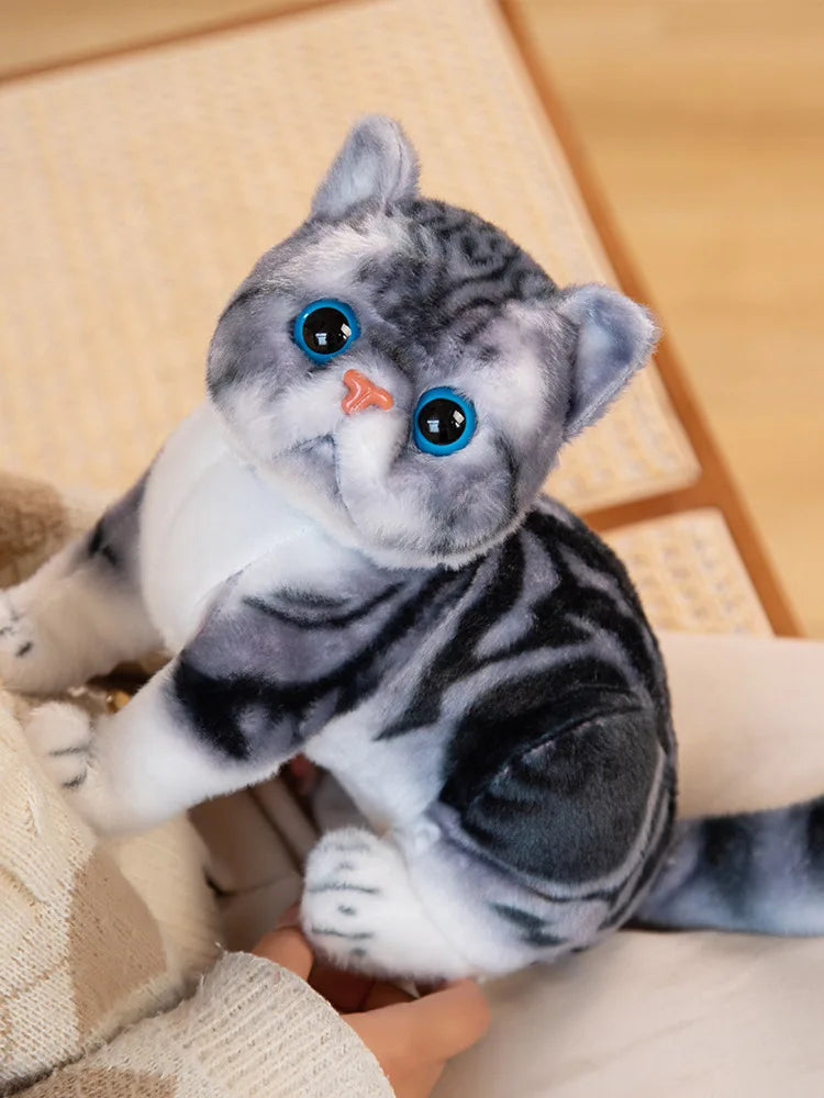 Super Likfelike Fat Face Cat Plushie Stuffed Apple Face Tiger Patterned Kitten Simulated Animals Home Decor Gift for Boy Kids