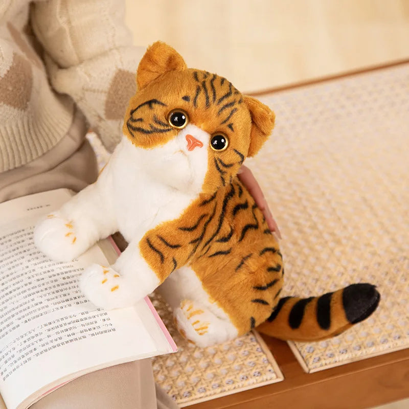 Super Likfelike Fat Face Cat Plushie Stuffed Apple Face Tiger Patterned Kitten Simulated Animals Home Decor Gift for Boy Kids