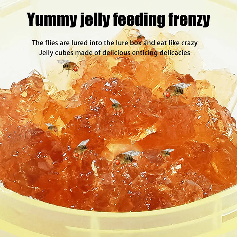 Non-Toxic Insect Trap To Attract And Trap Fruit Flies Suitable For Kitchen Counters Fly Killing Bait Powerful Fruit Fly Trap
