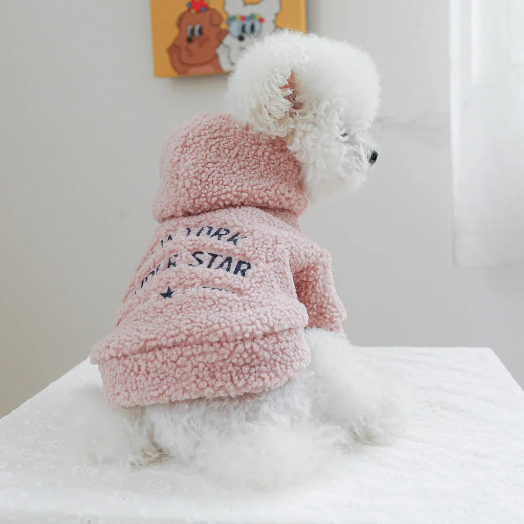 Autumn and Winter Pet Lamb Fleece Hooded Jacket Puppy and Cat Clothes New Models Thick and Warm Letter Hoodie Pet Clothes
