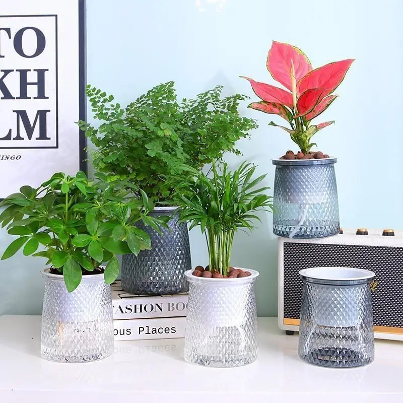 1 Pcs Transparent Self Watering Flower Pot Plastic Plantpot Dual-layer Automatic Lazy Potted Hydroponic Flowerpot for Home Decor