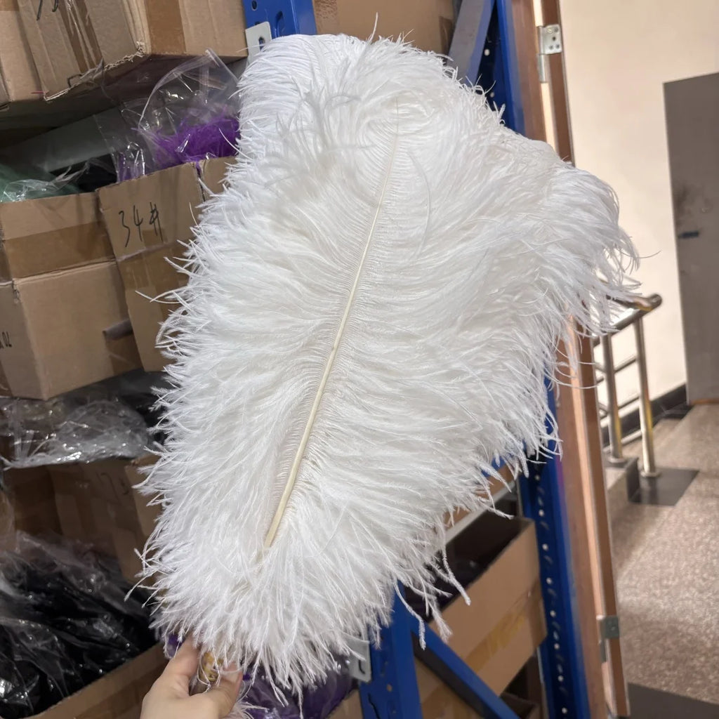10PCS/Lot White Ostrich Feathers Plume for Wedding Table Centerpieces Carnival Prime Decor  45-50CM 55-60CM Ostrich Plumas Large