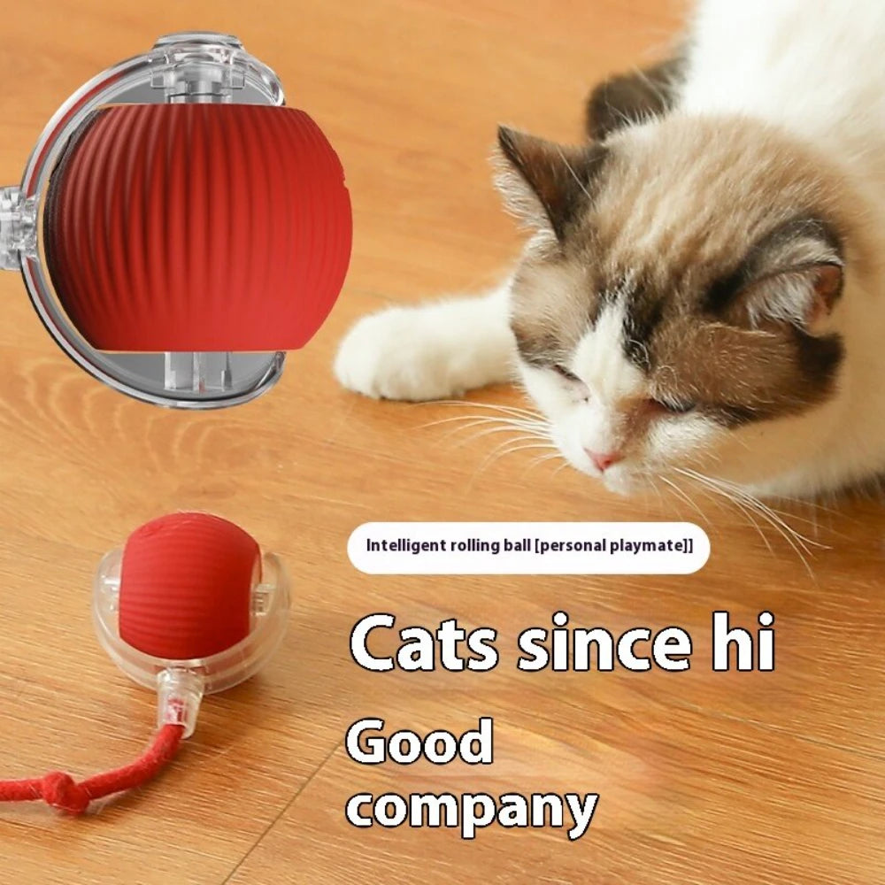 Interactive Dog Cat Toy Ball, Automatic Moving Bouncing Rolling, Pet Smart Chase Ball Rechargeable, Enrichment Toys