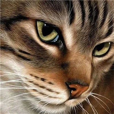 Huacan Diy Diamond Painting Full Drill Cat Home Decor Diamond Art Embroidery Mosaic Animal Wall Sticker