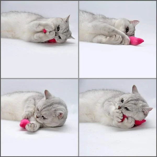 Catnip Cat Pillow Toy - Funny Pet Chew Claw Molar Toy for Kittens - Soft Cute Interactive Plaything