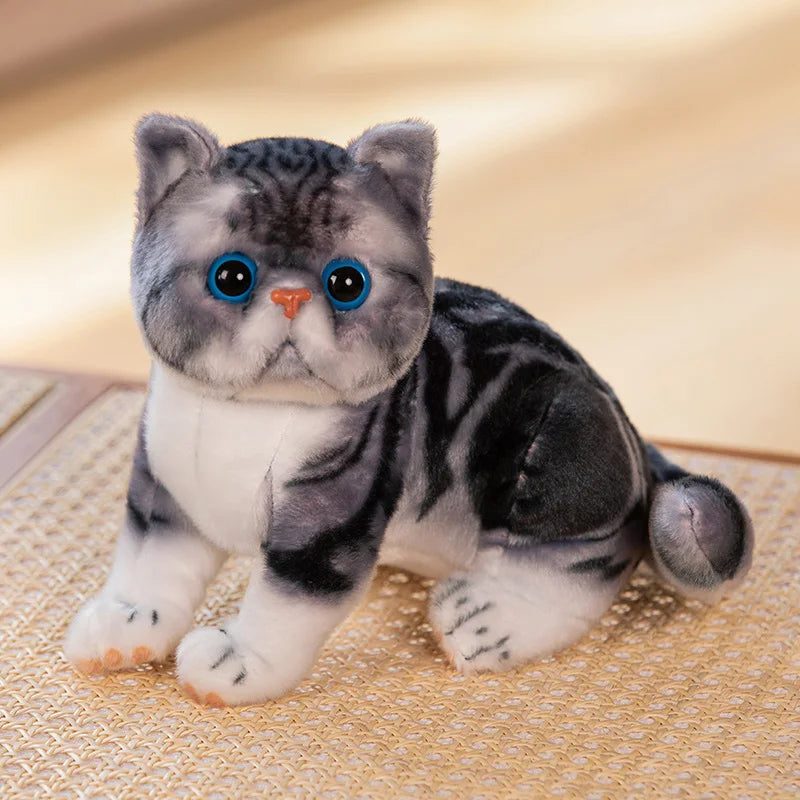 Super Likfelike Fat Face Cat Plushie Stuffed Apple Face Tiger Patterned Kitten Simulated Animals Home Decor Gift for Boy Kids