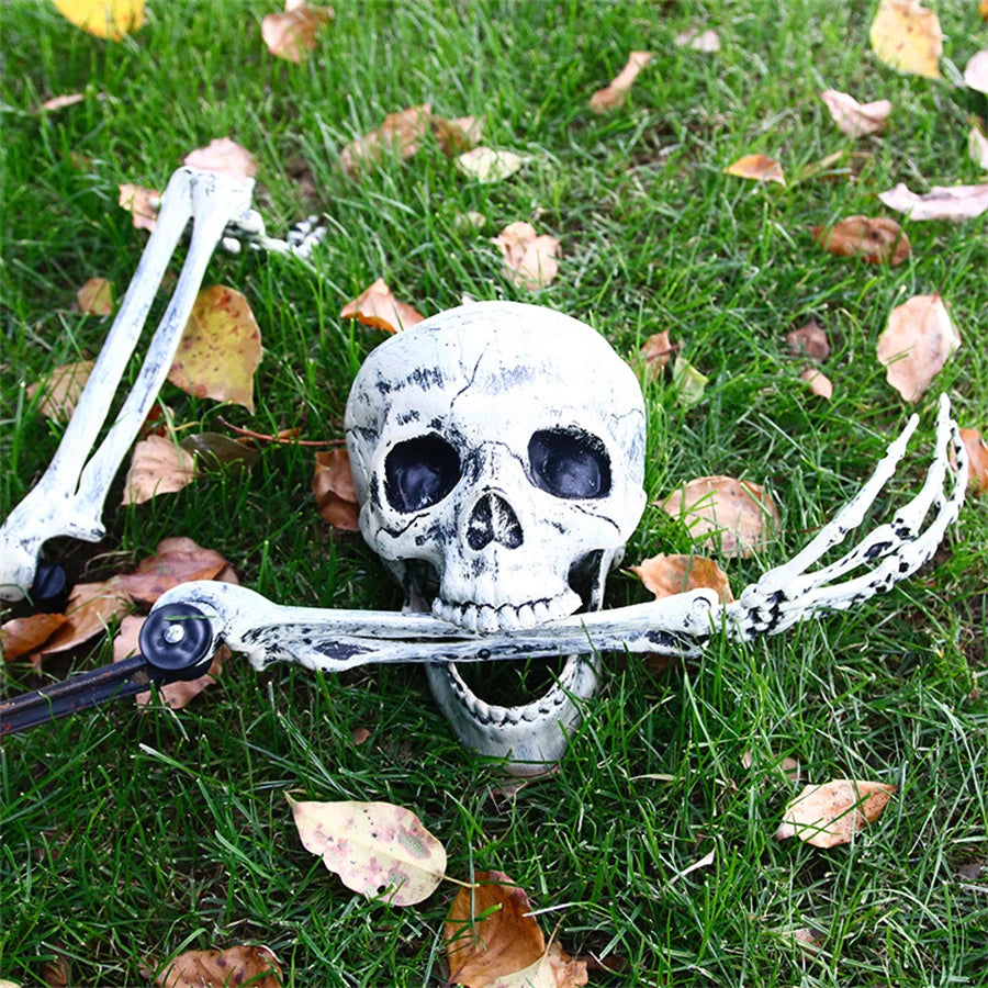 Halloween Realistic Skull Skeleton Head Human Hand Arms for