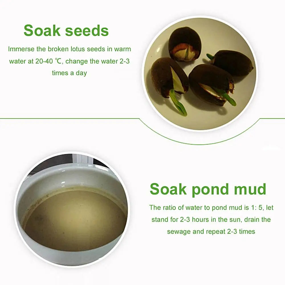 200g River Pond Mud Mud Lotus Pond Mud Flower Fertilizer Bowl Lotus Water Lotus Special Aquatic Plants Nutrition Soil