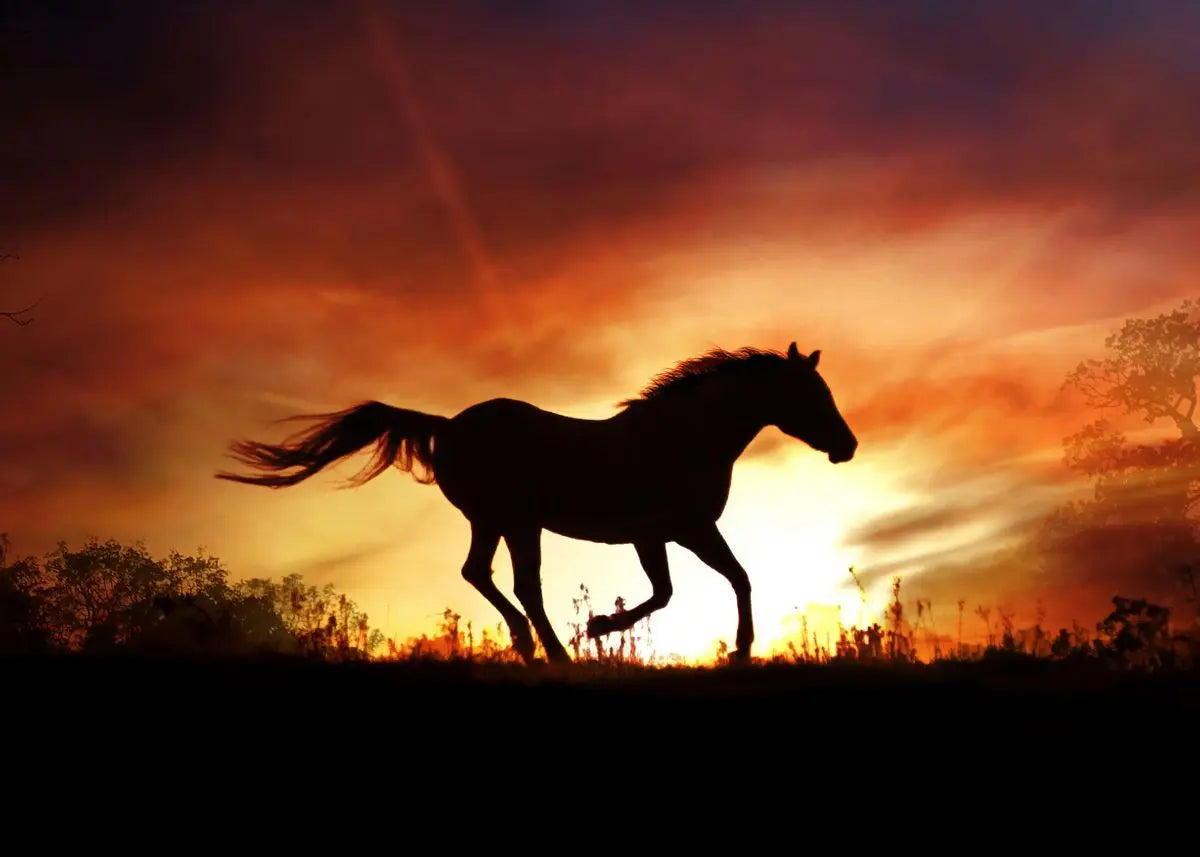 Handsome Horse Watercolor Painting Canvas Poster Animals Wall Art Pictures for Living Room Bedroom Playroom Modern Home Decor