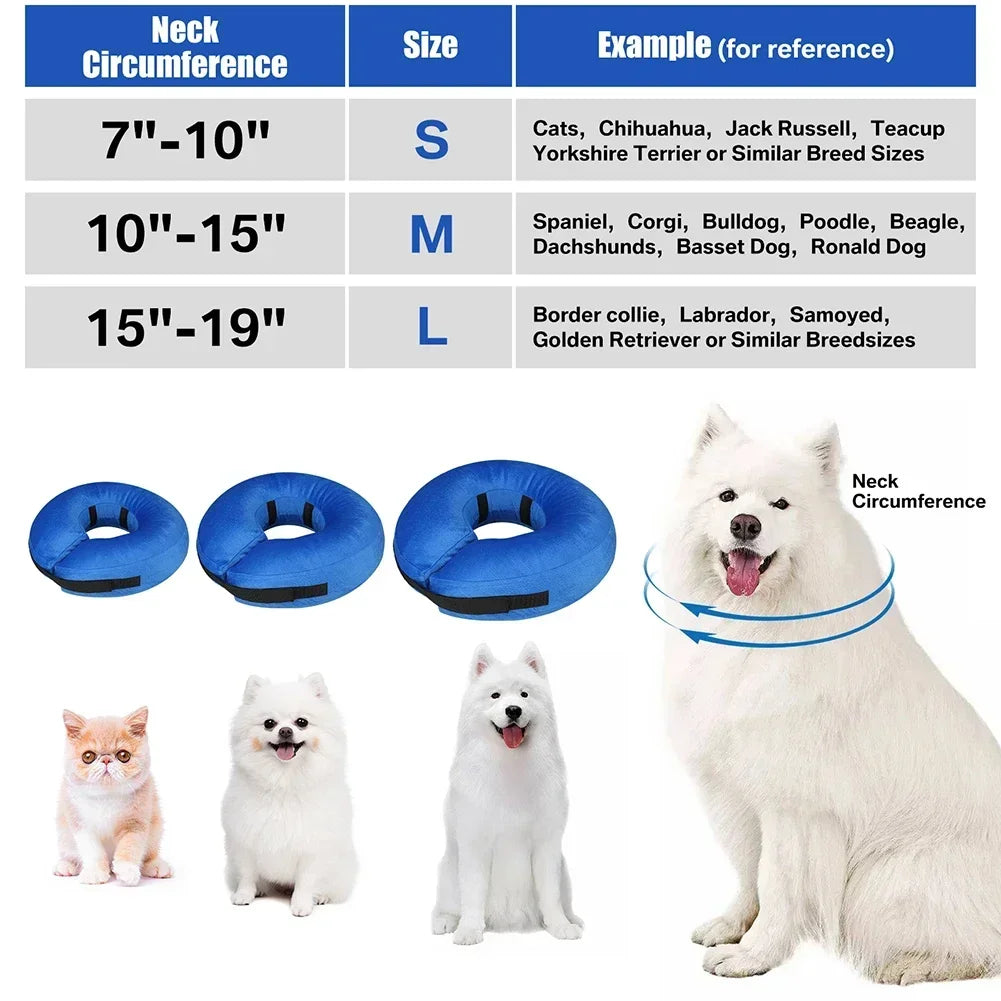 Dog Cones After Surgery