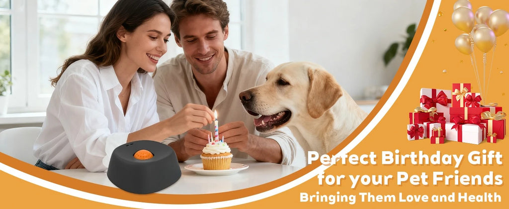 Dog/cat licking bowl, pet licking toy slow food bowl, makes dogs/cats love licking.