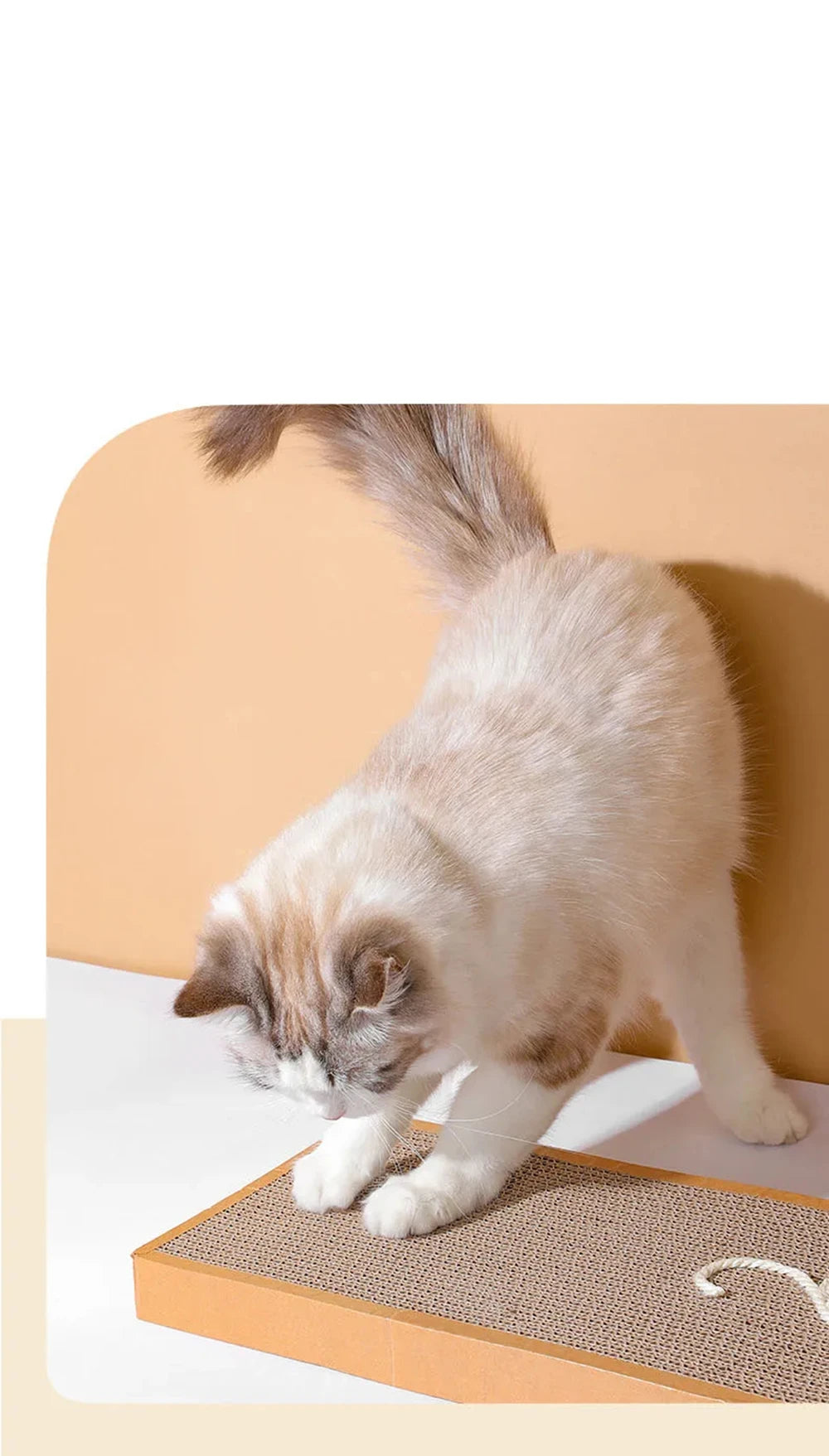 Pet Cat Scratching Board Cat Cardboard Mat Scraper Grinding Claw Toys for Cat Scratcher Cat Furniture Protector Cat Accesorios