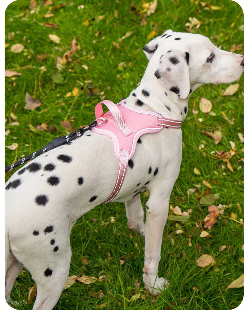 Dog Harness Pet Saddle Quick Wear Structure Protection Ultra Light Chest Strap Safety Anti Break Explosion Proof Dog Vest