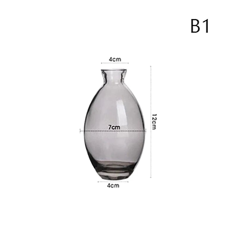 Transparent Glass Vase Avocado Seed Starters Vase Seed Growing Kit Avocado Vase For Growing Gift For Gardening Lovers Home Decor