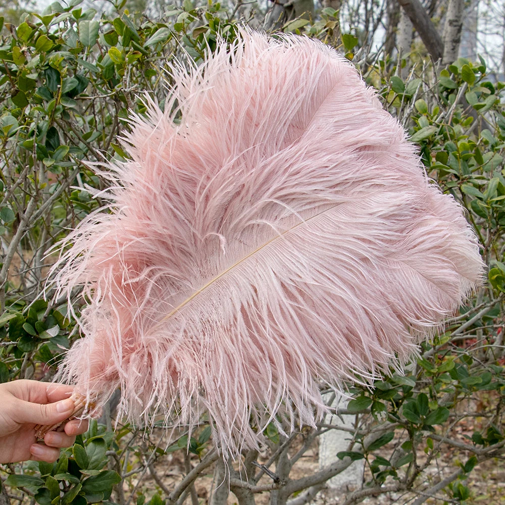 10PCS/Lot White Ostrich Feathers Plume for Wedding Table Centerpieces Carnival Prime Decor  45-50CM 55-60CM Ostrich Plumas Large