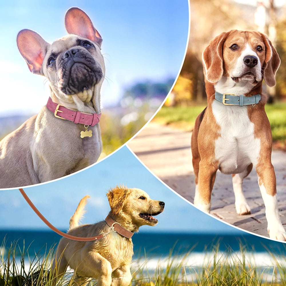 Soft Leather Padded Dog Collar Adjustable Durable Dog Collars For Small Medium Dogs Perro Bulldog Pug Pitbull Pet Accessories