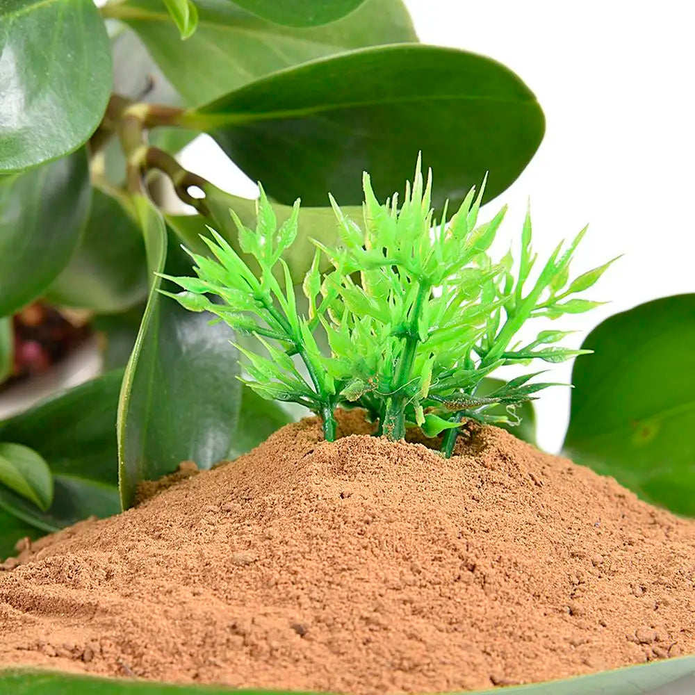200g River Pond Mud Mud Lotus Pond Mud Flower Fertilizer Bowl Lotus Water Lotus Special Aquatic Plants Nutrition Soil
