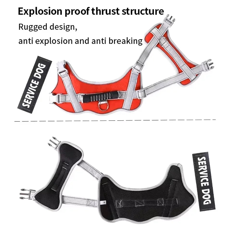 No-Pull Adjustable Dog Harness With Leash