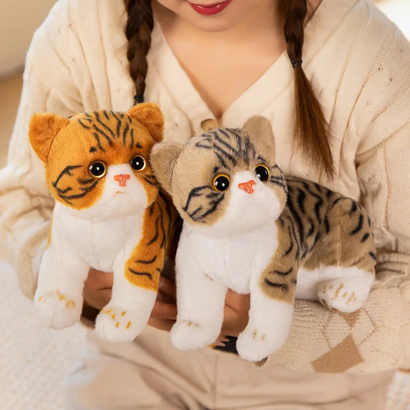 Super Likfelike Fat Face Cat Plushie Stuffed Apple Face Tiger Patterned Kitten Simulated Animals Home Decor Gift for Boy Kids