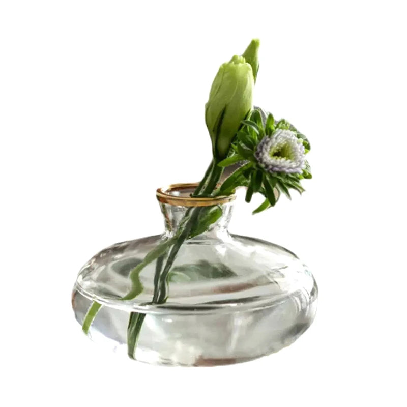 Transparent Glass Vase Avocado Seed Starters Vase Seed Growing Kit Avocado Vase For Growing Gift For Gardening Lovers Home Decor