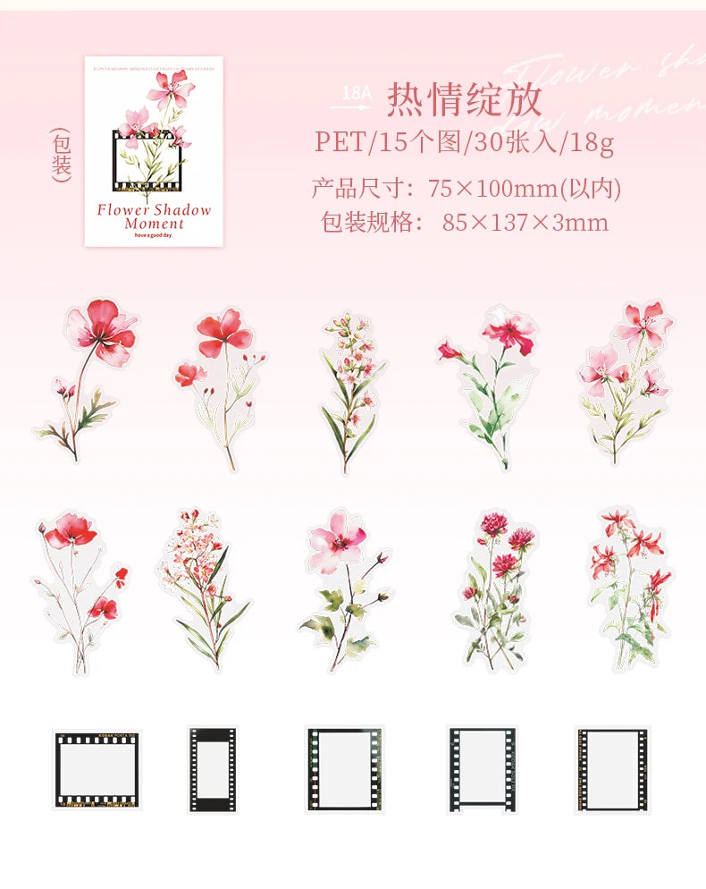 30 pcs film and Flowers Plant Stickers pack Creativity PET Decorative Sticker for DIY Diary Scrapbooking Junk Journal Supplies