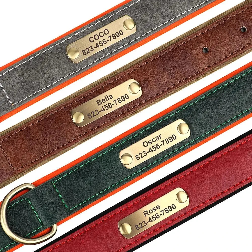 Personalized Customized Leather ID Nameplate Dog Collar Soft Padded