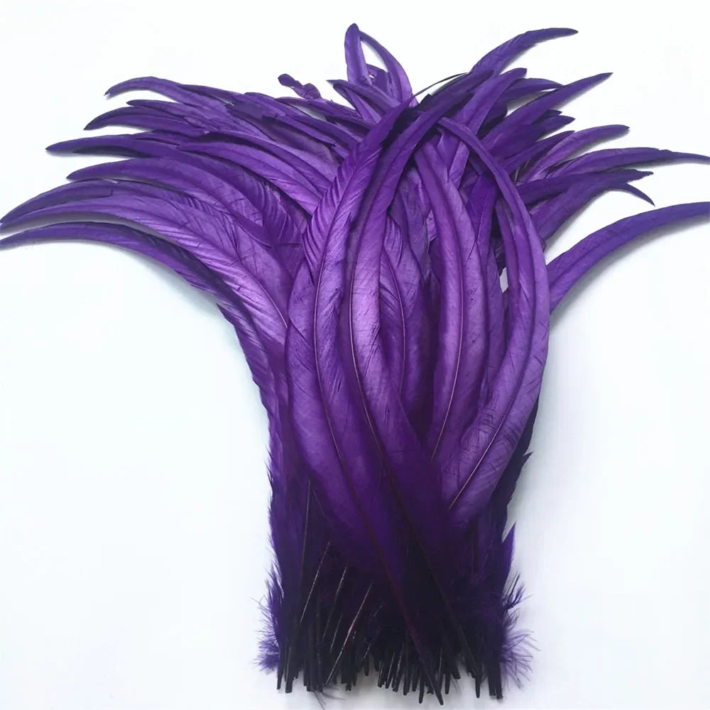 Top Quality 50 Pcs Pure White Rooster Tail Feather 30-35cm 12-14inch Natural Feathers Wedding Decoration clothing accessories