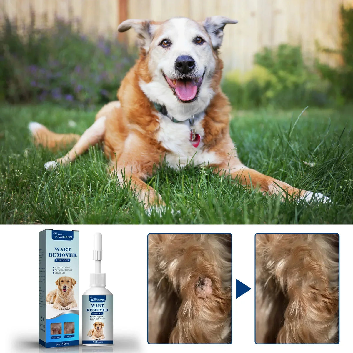 Painless Wart Removal Liquid Dog Wart Remover, Cat Skin Tags Removal Treat against Moles Corn, Skin Repair, Pet Skin Care Liquid