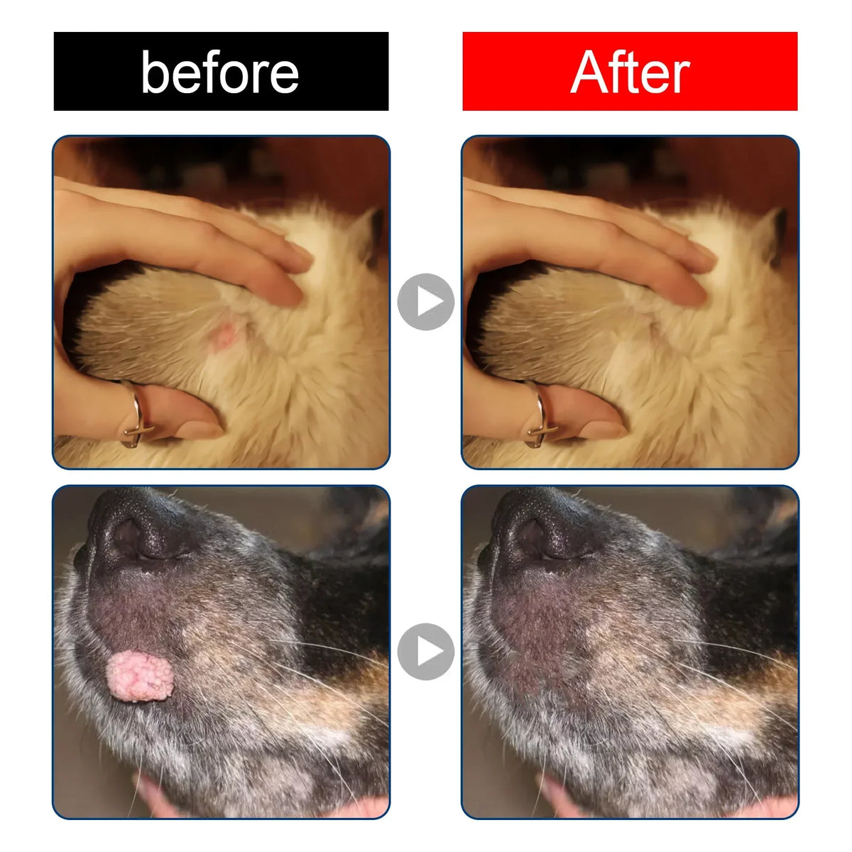 Painless Wart Removal Liquid Dog Wart Remover, Cat Skin Tags Removal Treat against Moles Corn, Skin Repair, Pet Skin Care Liquid