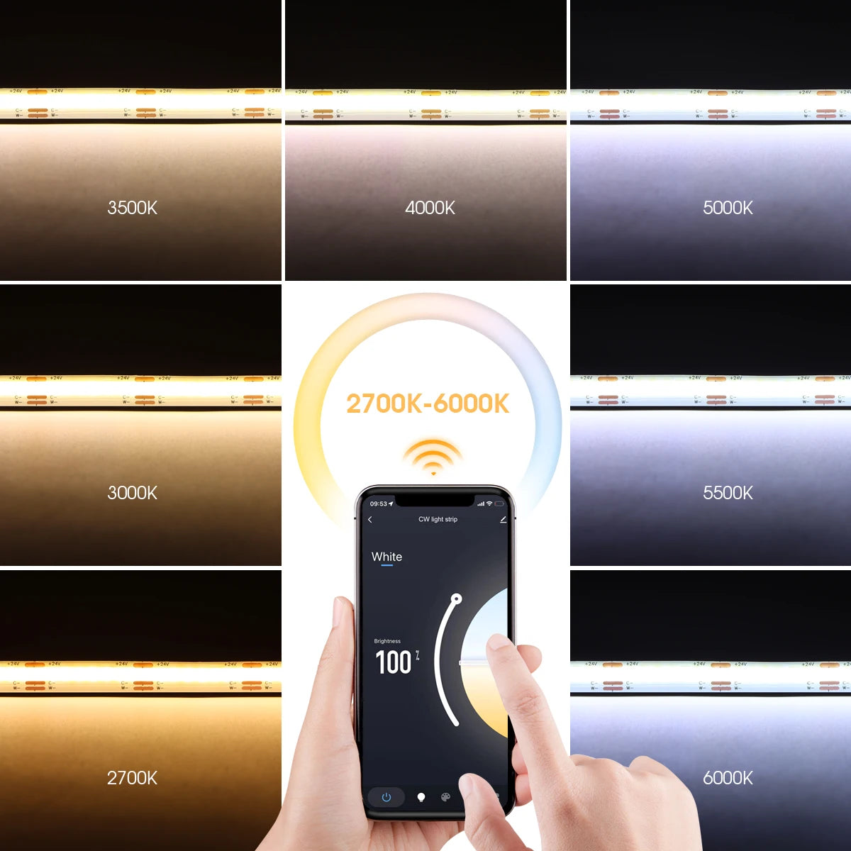 Tuya Smart WiFi Switch COB CCT LED Strip Light 3M 5M 24V Power Adapter EU/US Plug Dimmable Lamp LED Tape for Room Kitchen Decor