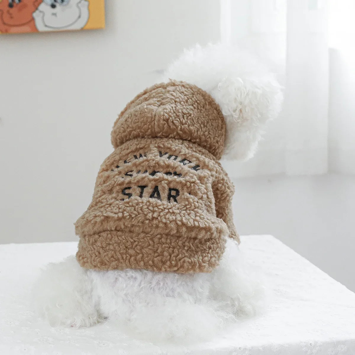 Autumn and Winter Pet Lamb Fleece Hooded Jacket Puppy and Cat Clothes New Models Thick and Warm Letter Hoodie Pet Clothes
