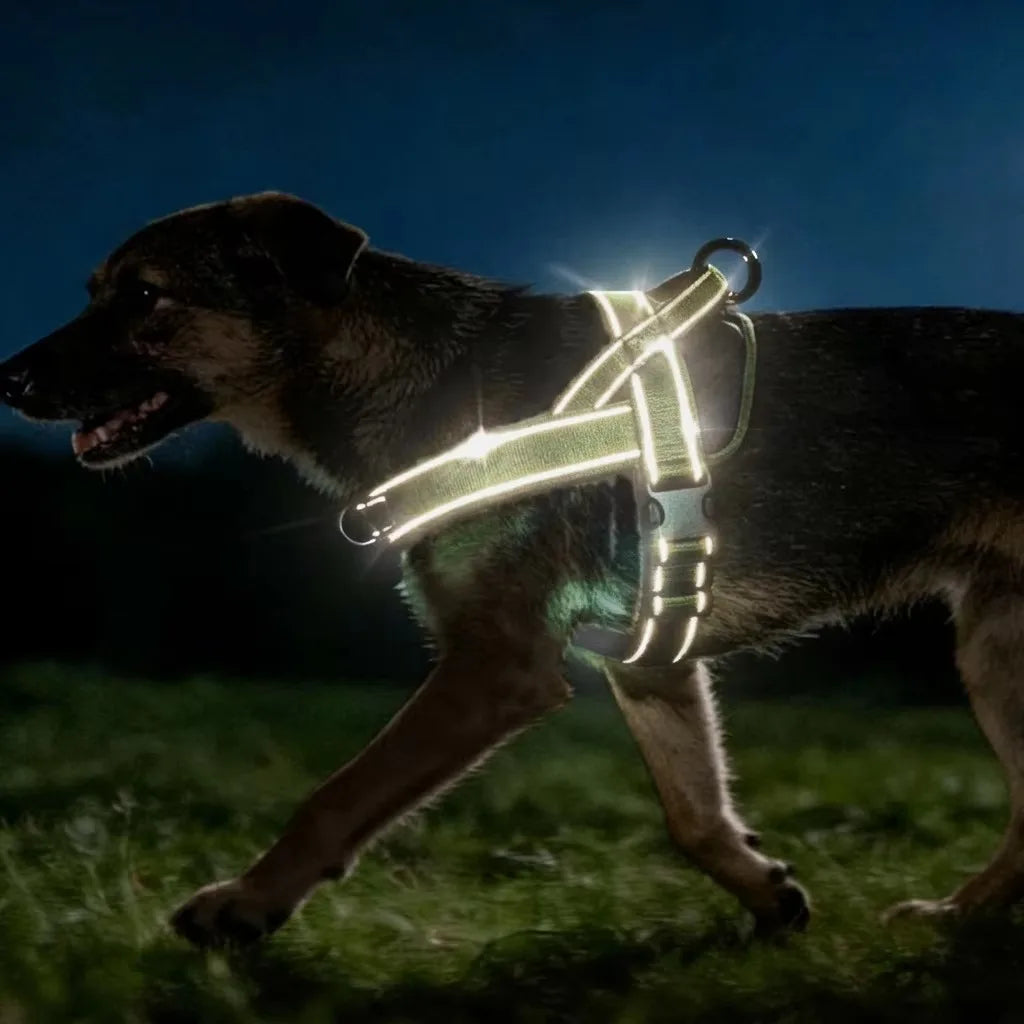 Big Dog Harness Accessories Dogs Pets Pet Products Tactical