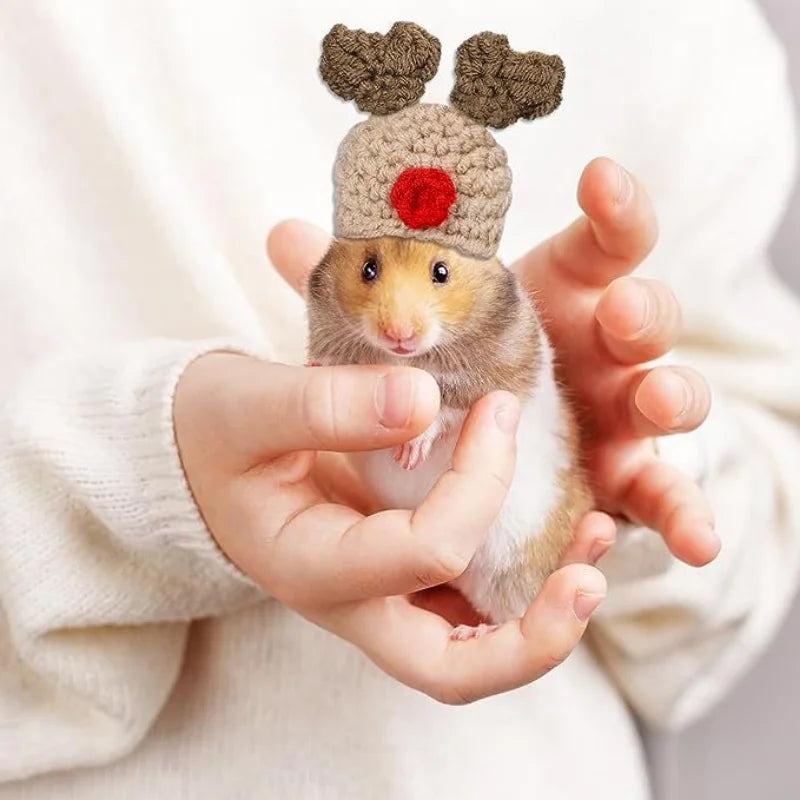 Cute Handmade Knitted Hat Hamster Decoration Chipmunk Guinea Pig Hamster Accessories Hamster Toy Supplies Small Pet Hat