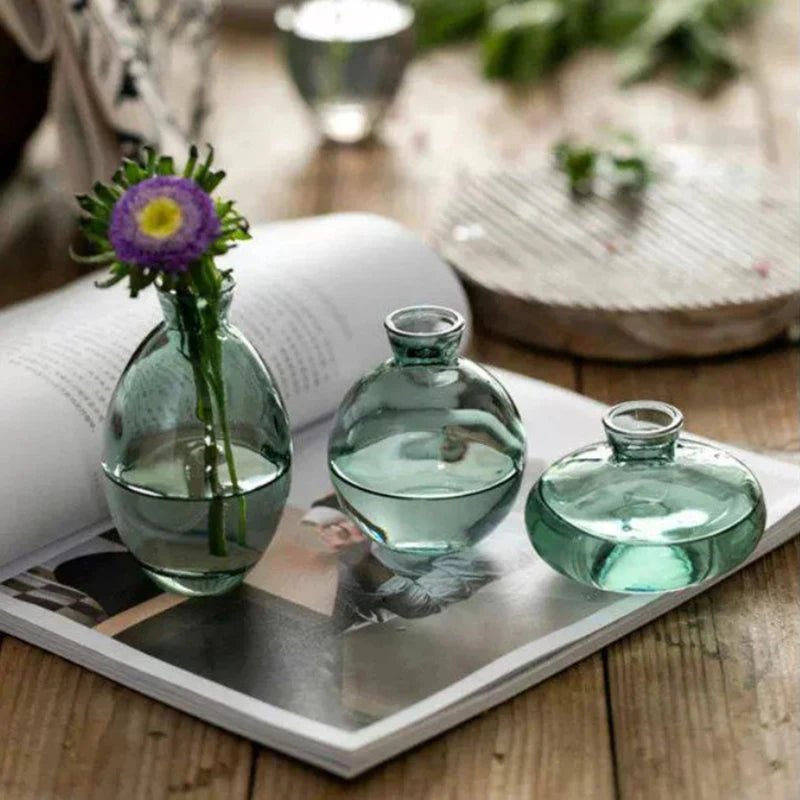 Transparent Glass Vase Avocado Seed Starters Vase Seed Growing Kit Avocado Vase For Growing Gift For Gardening Lovers Home Decor
