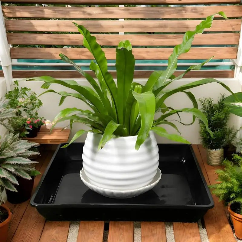 Plant Saucer Square Durable Flower Pot Indoor Outdoor Heavy Duty Tray Square Flowerpot Water Dish Home Decor for Gardening