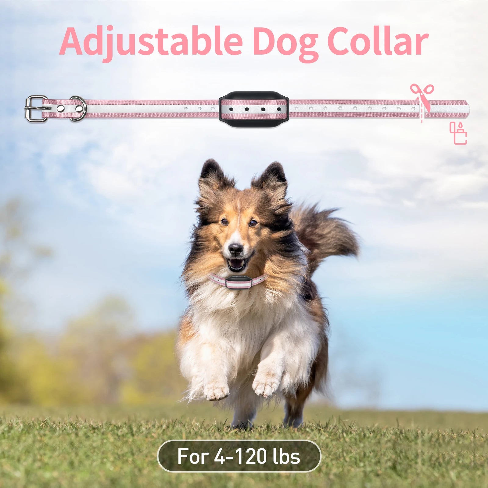 1000M Remote Dog Training Collar Rechargeable Dog Shock Collar With 3 Modes Electric Dog Collar for Small Medium Large Dogs Pink