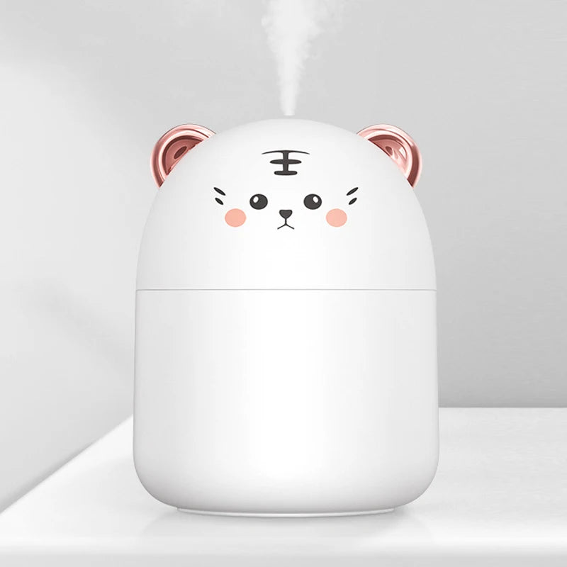 Cute Mini USB Desktop Humidifier