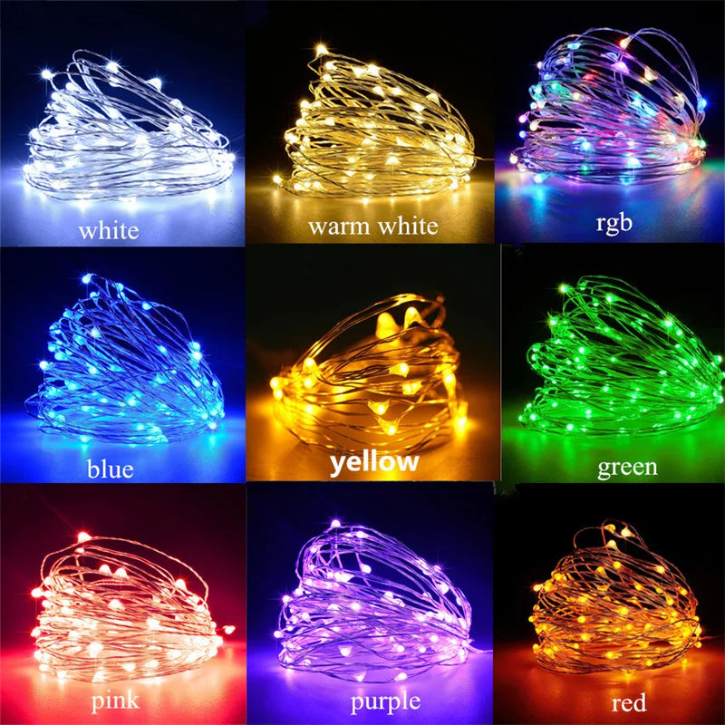 USB Led Fairy Lights Copper Wire String 1/2/3/5/10/20M 200LED