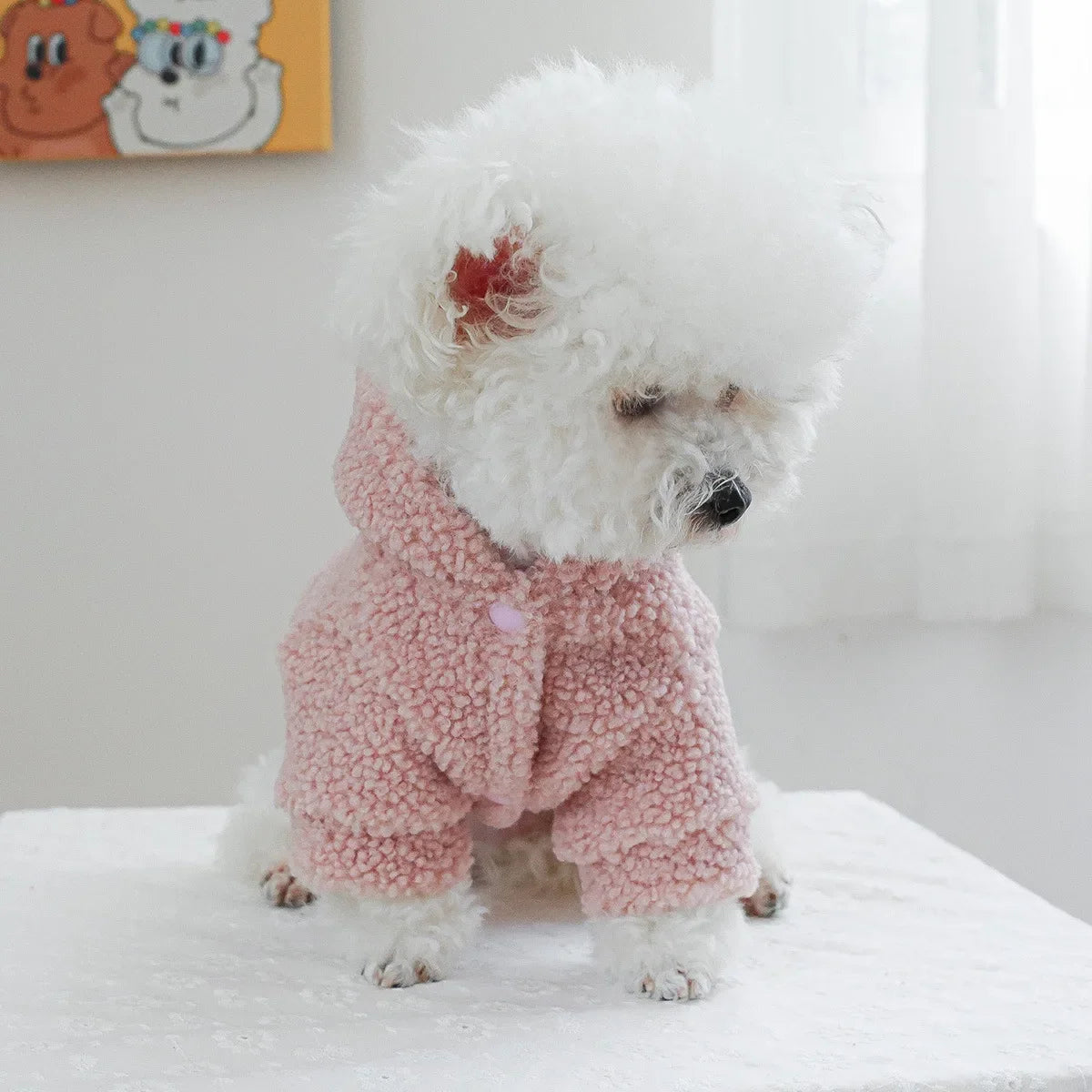 Autumn and Winter Pet Lamb Fleece Hooded Jacket Puppy and Cat Clothes New Models Thick and Warm Letter Hoodie Pet Clothes