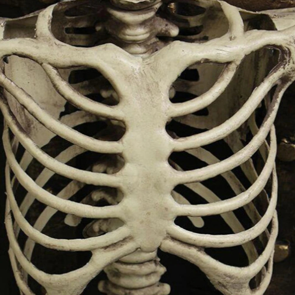 Halloween Horror Skeleton Statue Movable/Posable Joints Scary Skull Ornament Halloween Theme for Yard Garden Patio Haunted House