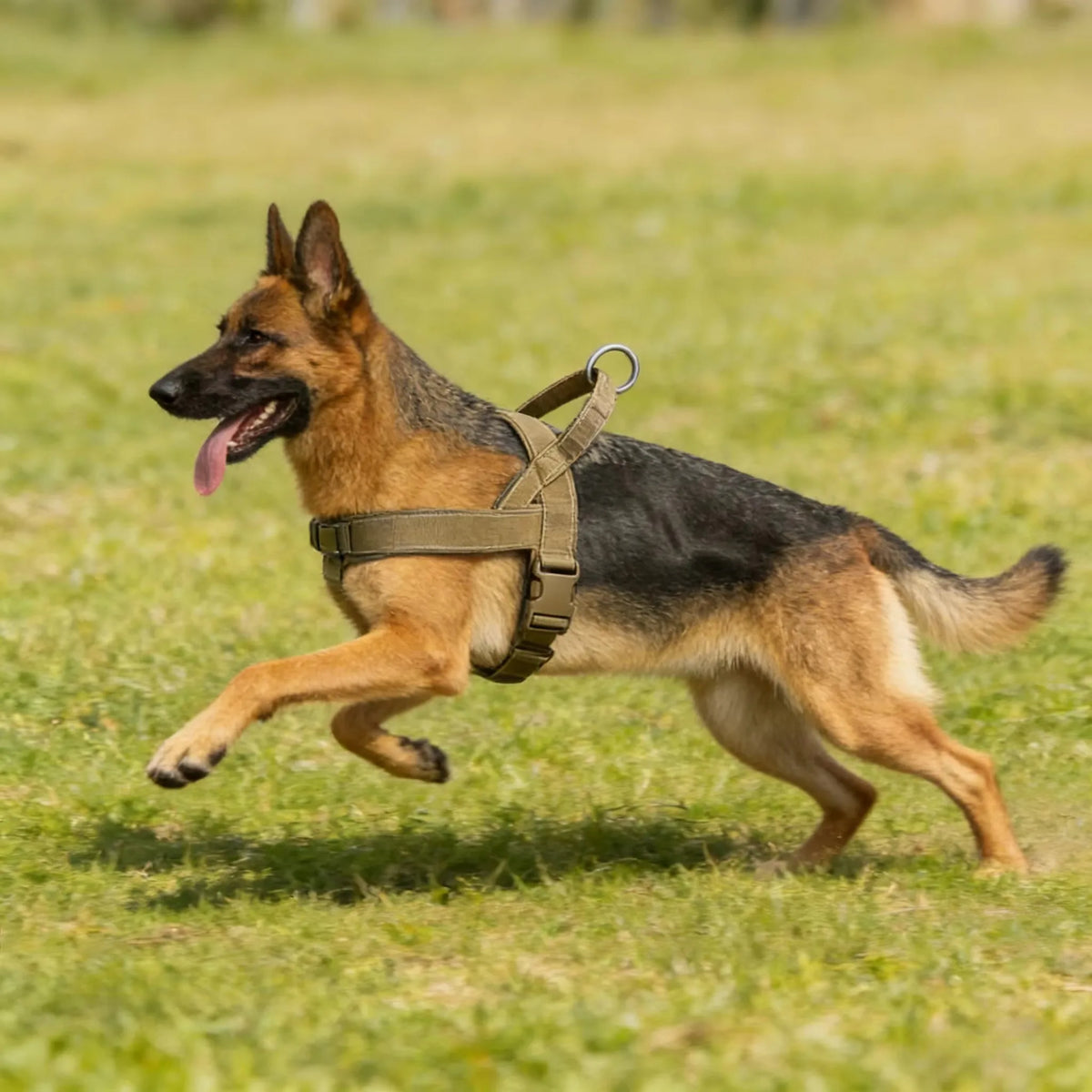 Big Dog Harness Accessories Dogs Pets Pet Products Tactical