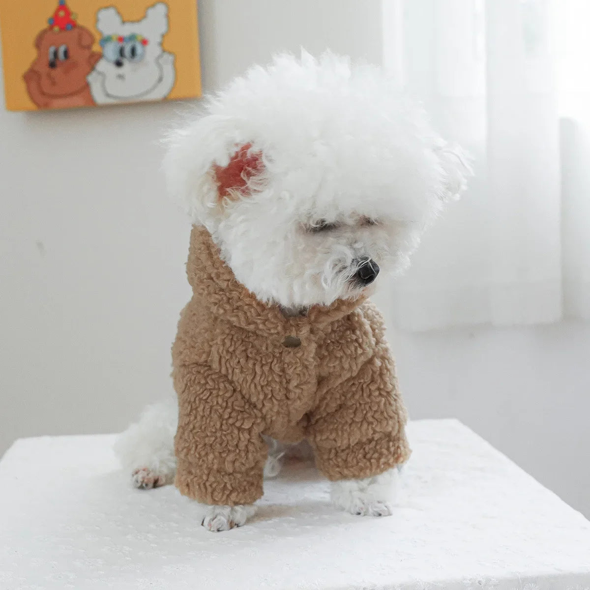 Autumn and Winter Pet Lamb Fleece Hooded Jacket Puppy and Cat Clothes New Models Thick and Warm Letter Hoodie Pet Clothes